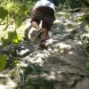 Senderismo en Ixtapa - Zihuatanejo - Image 2