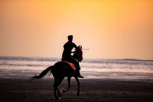 Experiencia a caballo