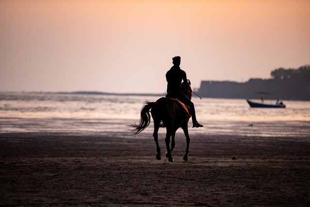 Caballo negro en Ixtapa-Zihuatanejo