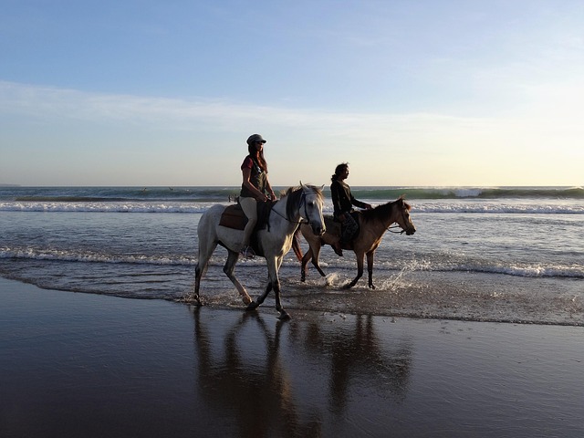 Cabalgata en la naturaleza de Ixtapa-Zihuatanejo
